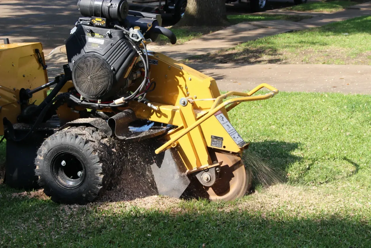 A stump grinder throwing chips as it grinds a stump level with the lawn